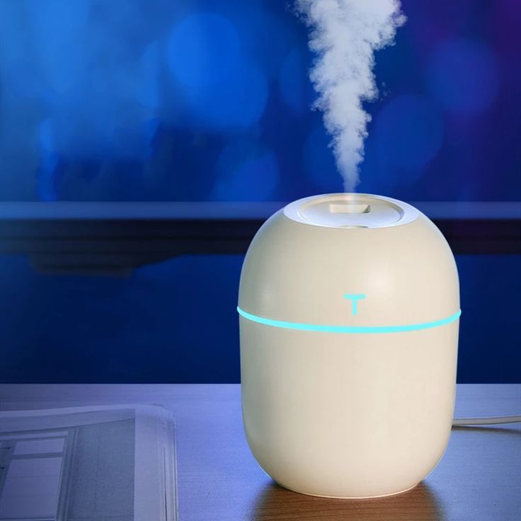 Compact Ultrasonic Humidifier with LED Ring Light