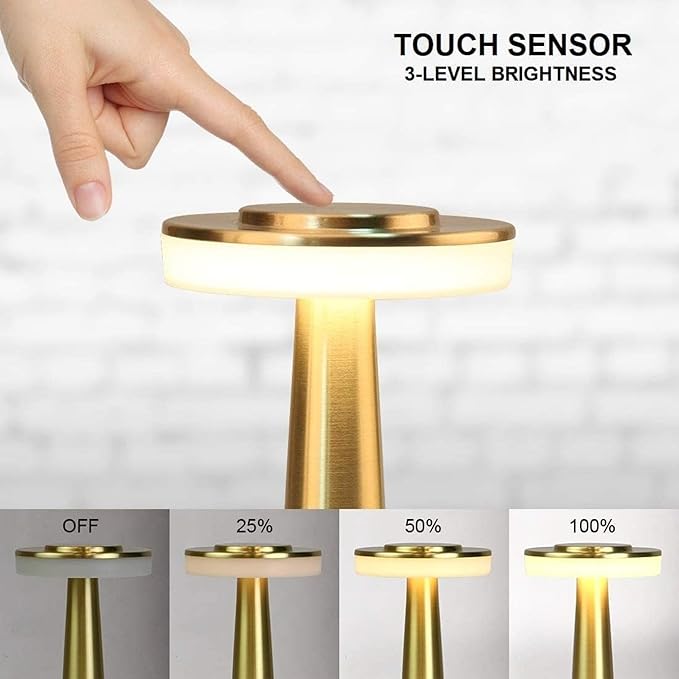 Metal LED Rechargeable Desk Lamp with Touch Sensor