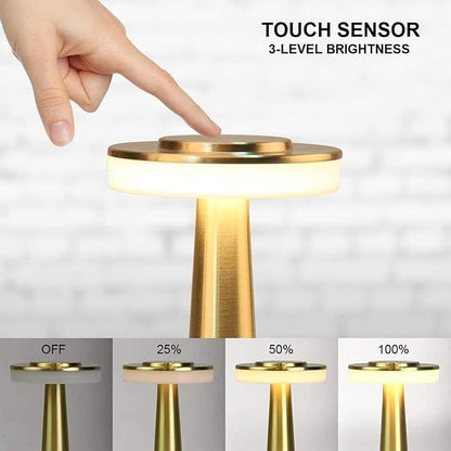 Metal LED Rechargeable Desk Lamp with Touch Sensor