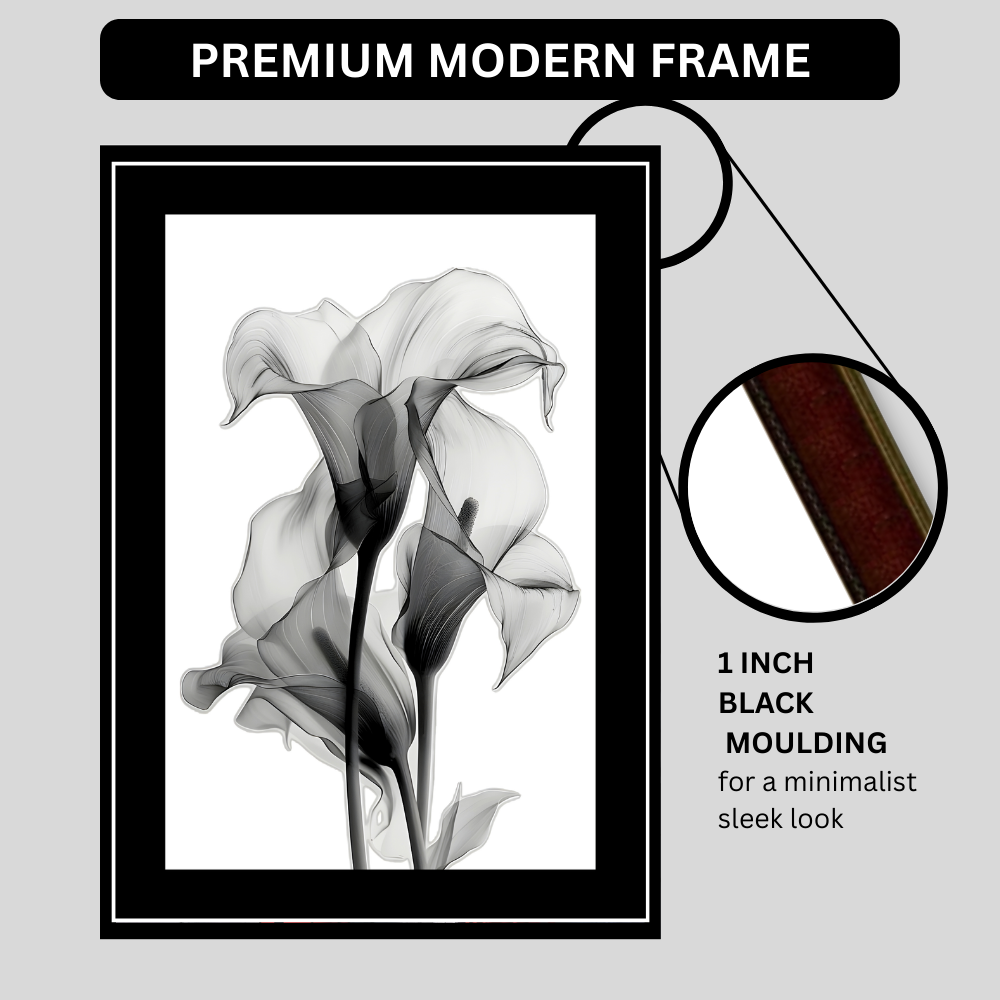 Abstract Monochrome Floral Art 2D Framed Wall Poster | Minimalist Black & White Flower Illustration | HD Matte Finish Modern Wall Frame for Home & Office Décor