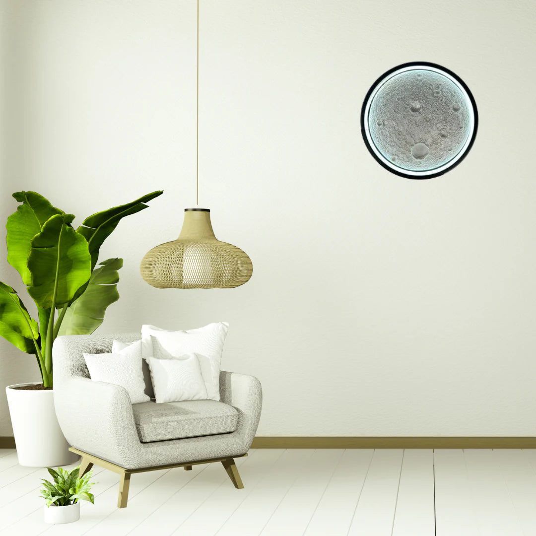 Wall Mounted Full Moon Light Modern Style LED Wall Lamp